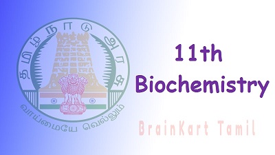 11th Biochemistry