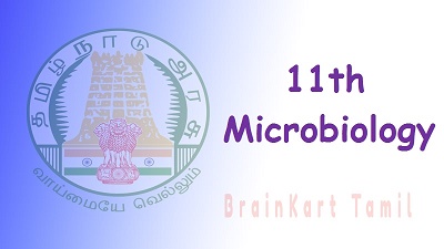 11th Microbiology
