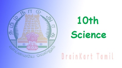 10th Science