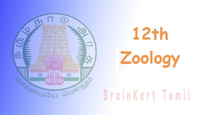 12th Zoology