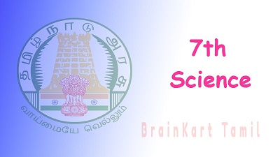 7th Science
