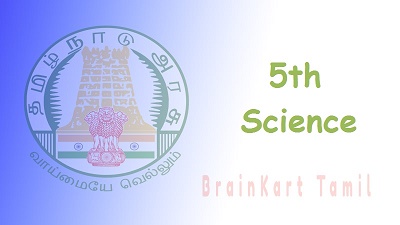5th Science