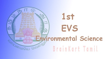 1st EVS Environmental Science